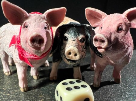 Bild zum Theaterstück Drei kleine Schweinchen
