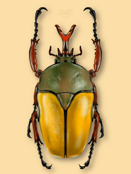 Bild zum Theaterstück Die blaue Lunte